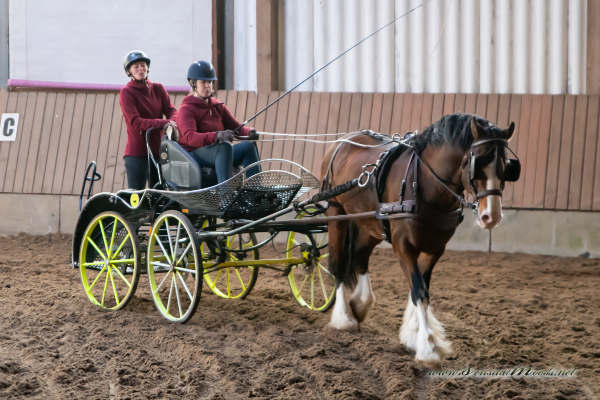 gk_20260308_0694-1_1800