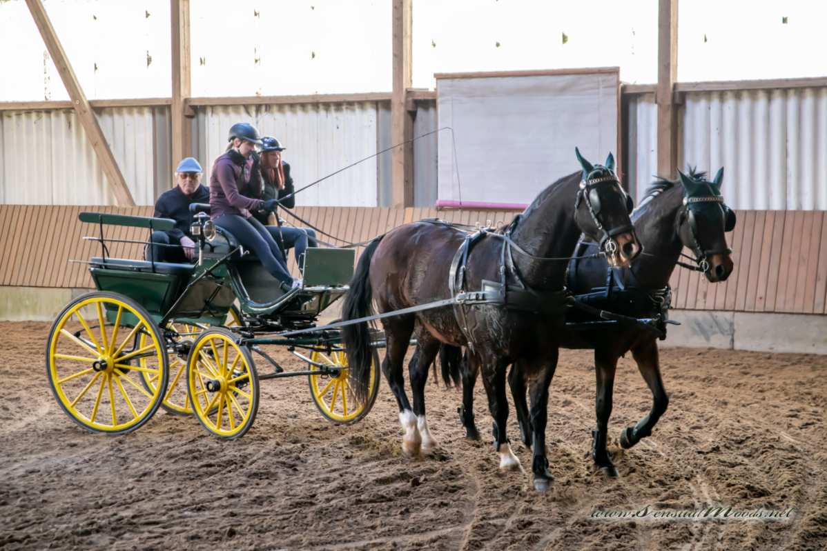 gk_20260308_0698-1_1800