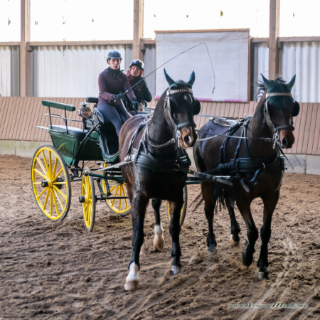 gk_20260308_0699-1_1800