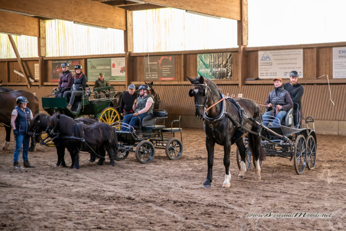 gk_20260308_0726-1_1800