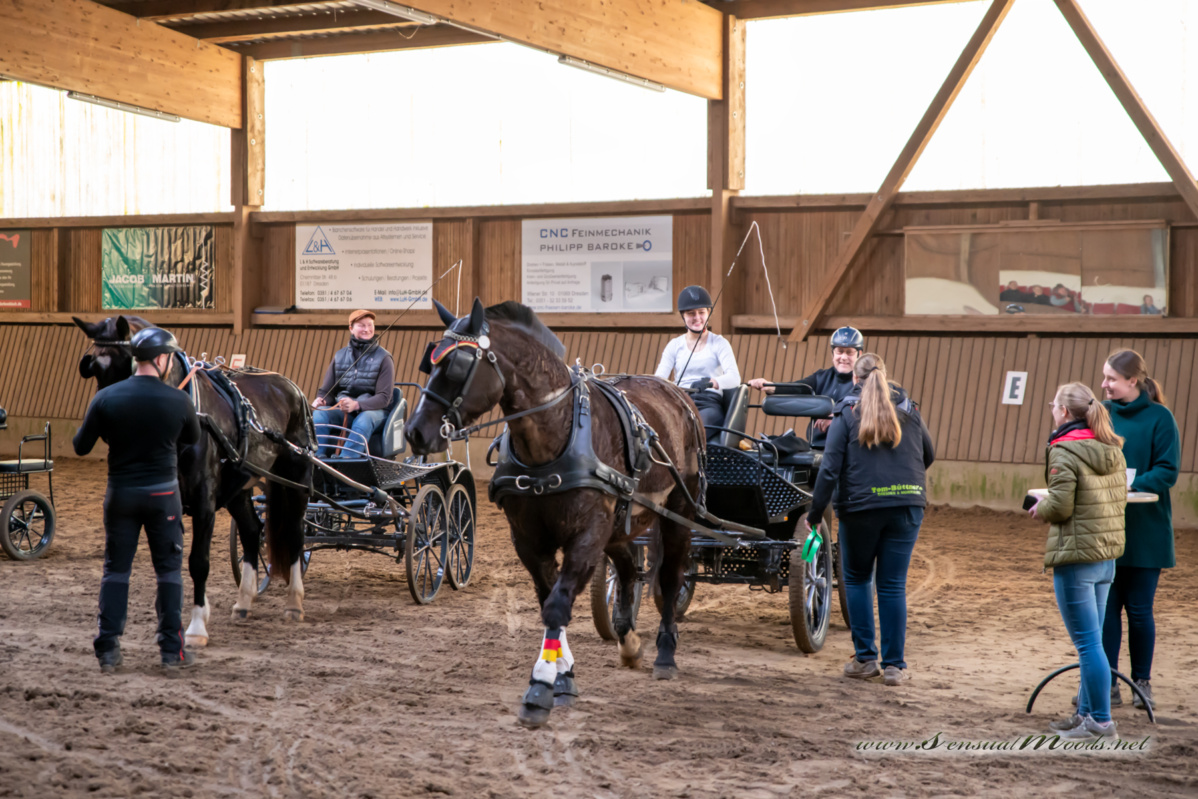 gk_20260308_0730-1_1800