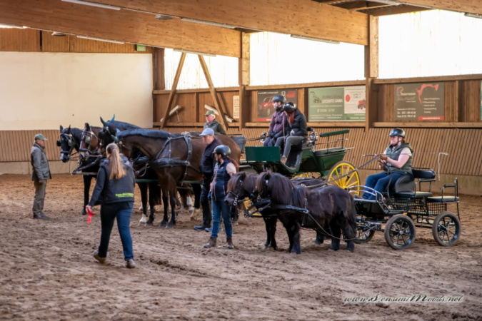 gk_20260308_0732-1_1800