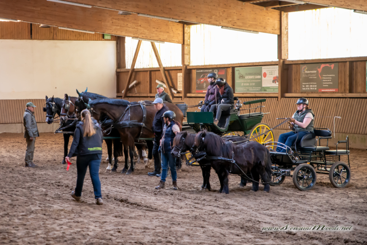 gk_20260308_0732-1_1800