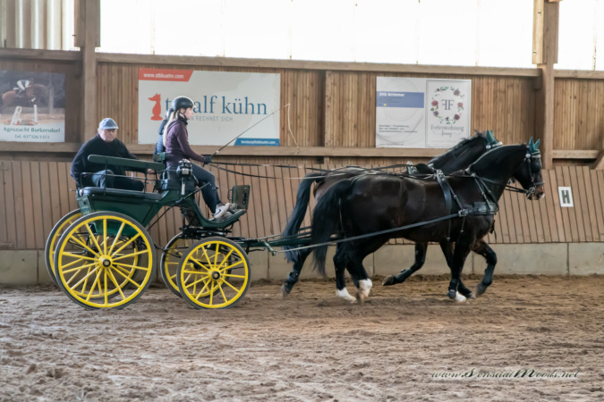 gk_20260308_0743-1_1800