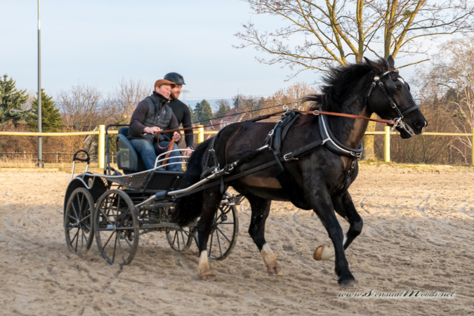 gk_20260308_0768-1_1800