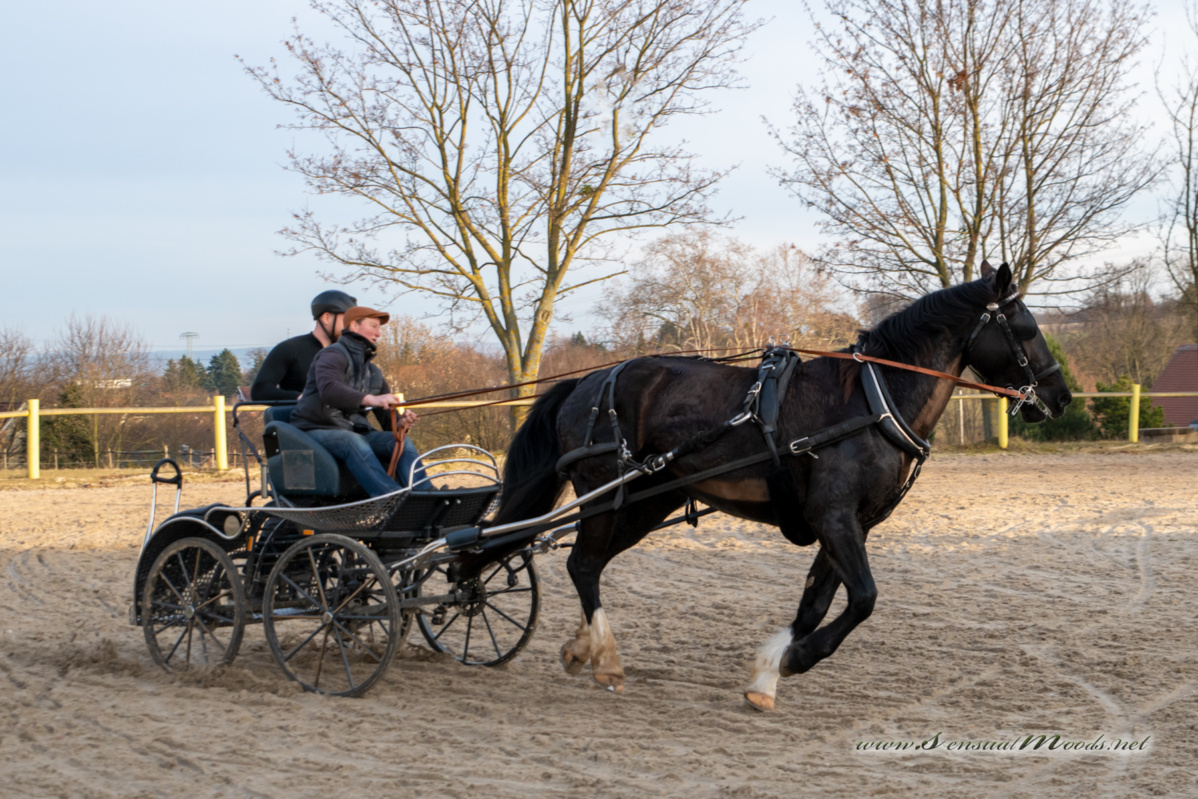 gk_20260308_0769-1_1800