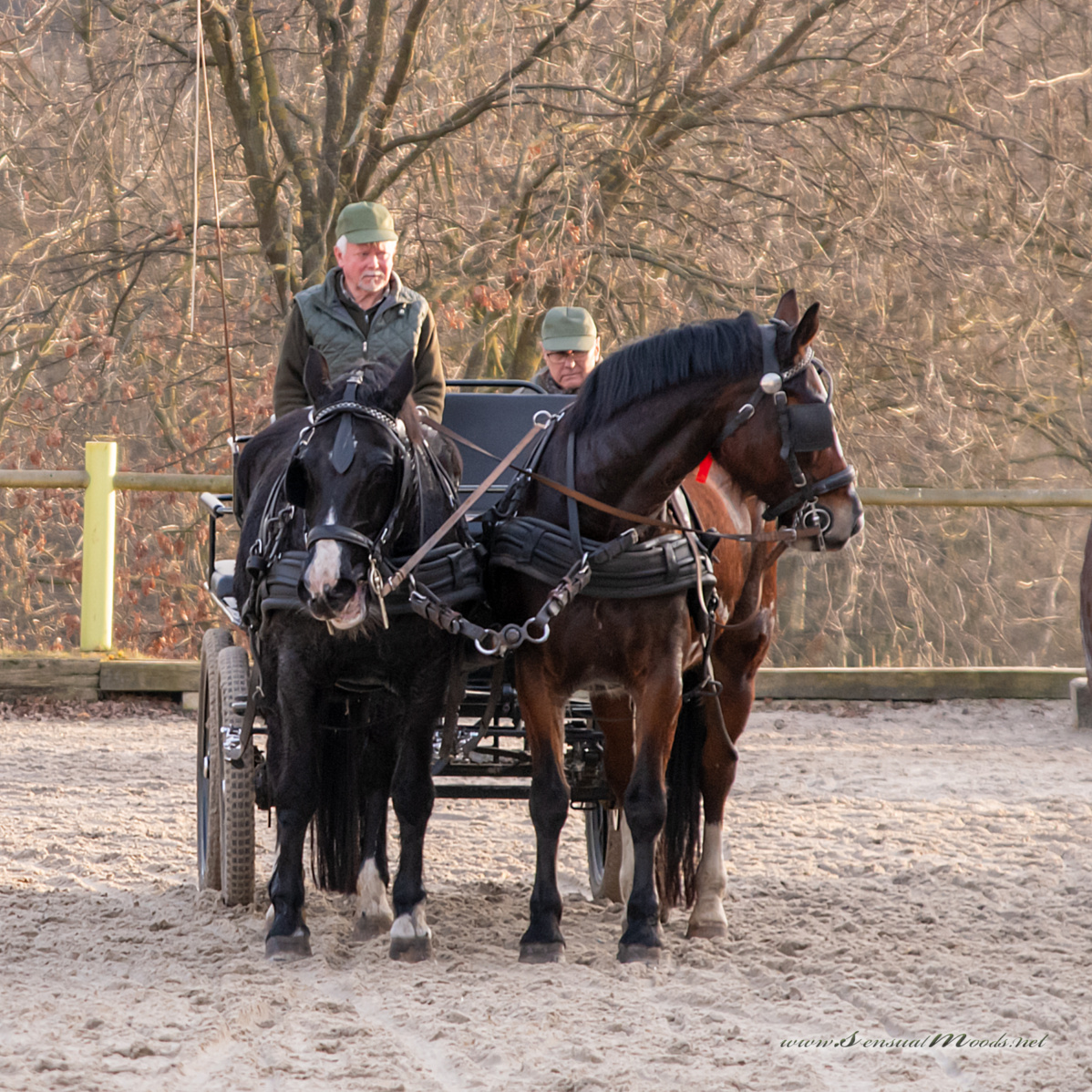 gk_20260308_0770-1_1800