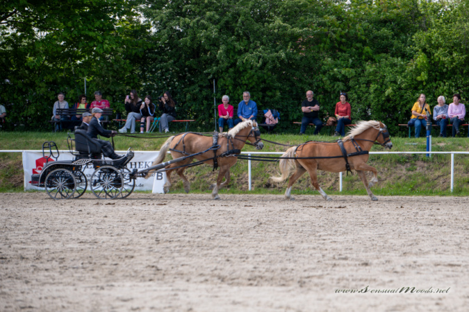 gk_20260510_0261-1_1800