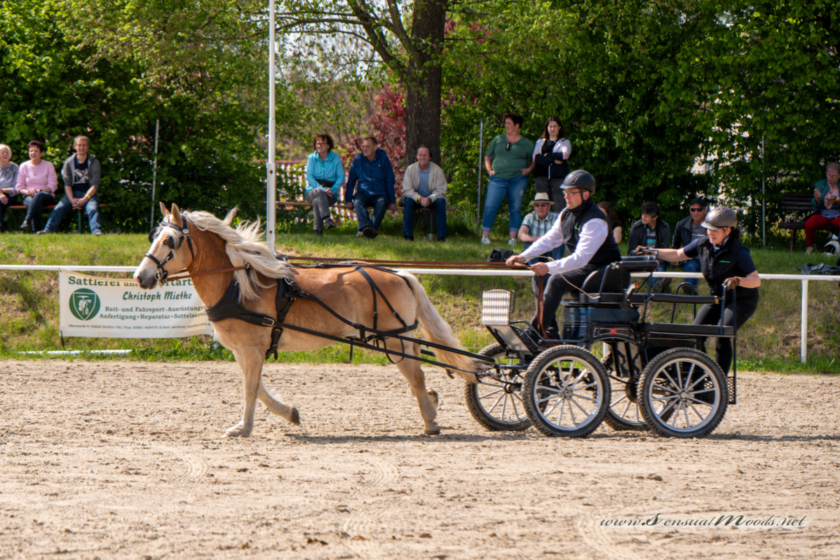 gk_20260510_0274-1_1800