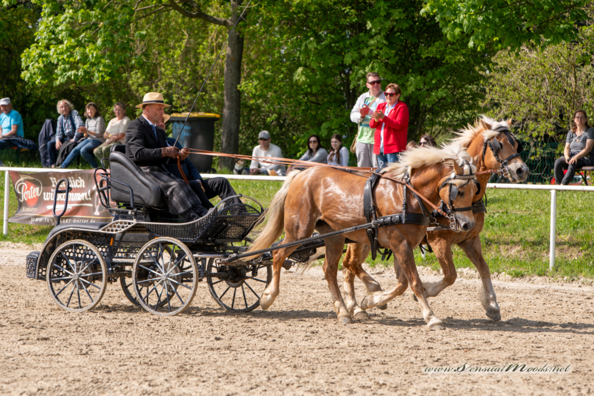 gk_20260510_0467-1_1800