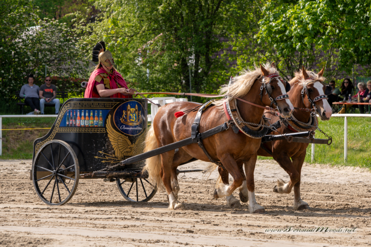 gk_20260510_0529-1_1800
