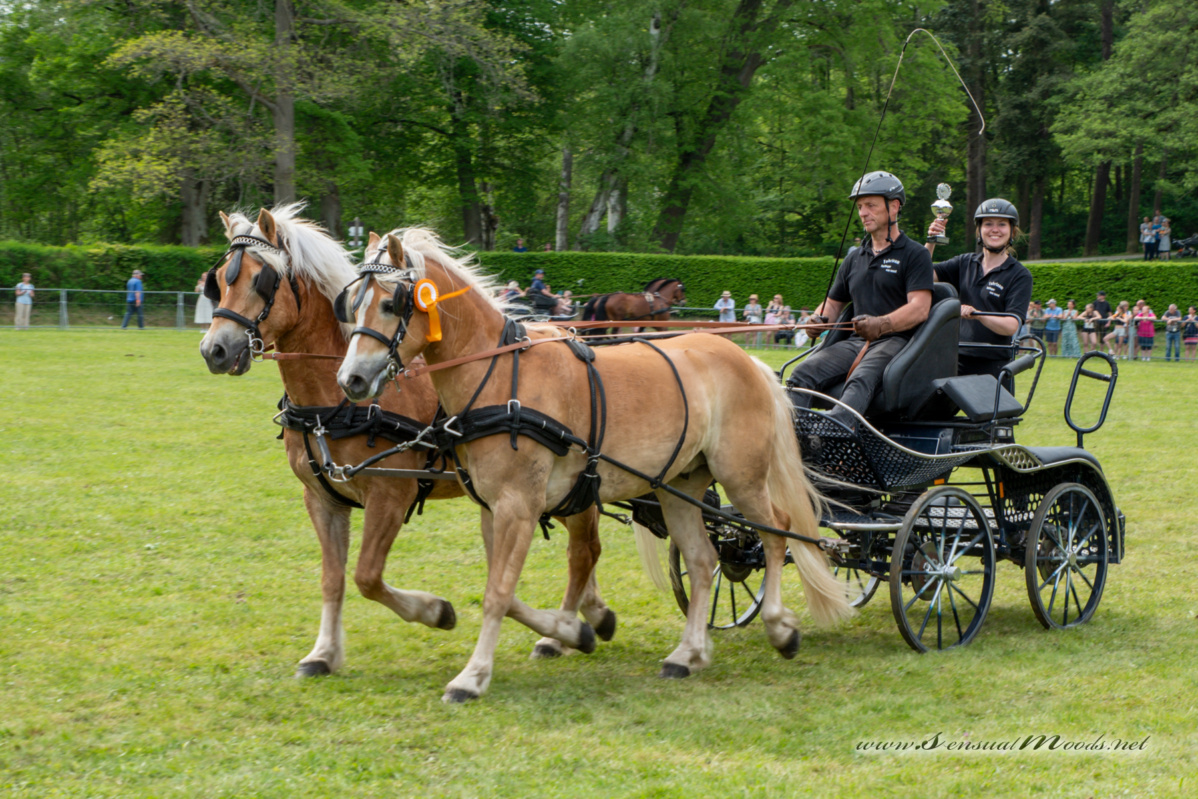 gk_20260524_0046-1_1800
