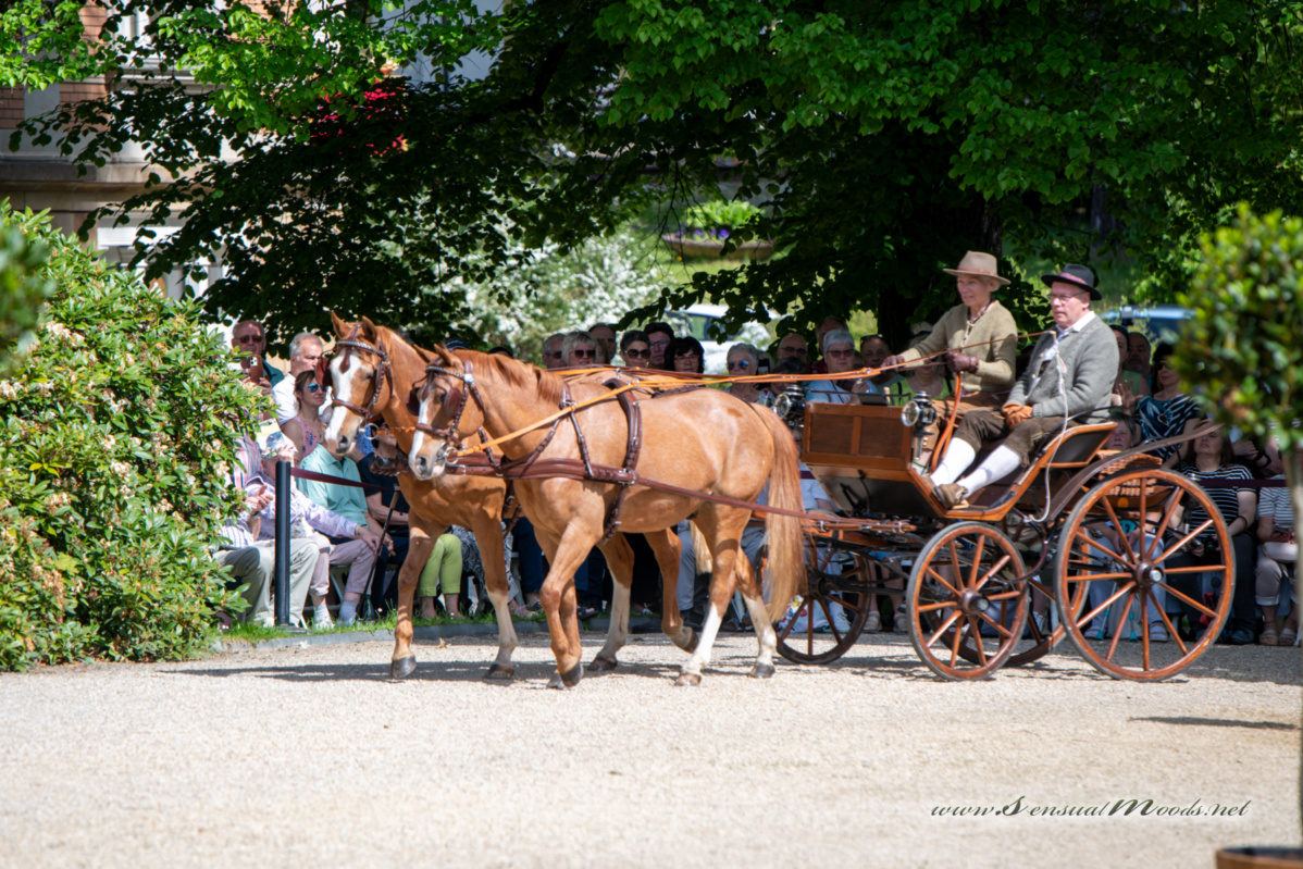 gk_20260524_0280-1_1800