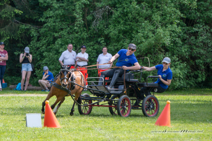 gk_20260524_1387-1_1800