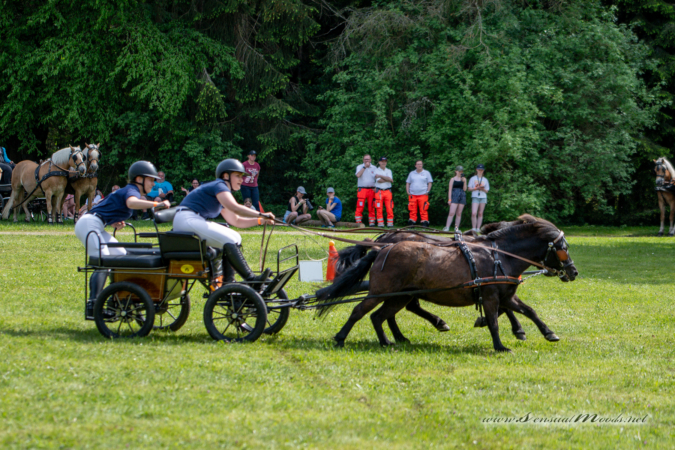 gk_20260524_1412-1_1800