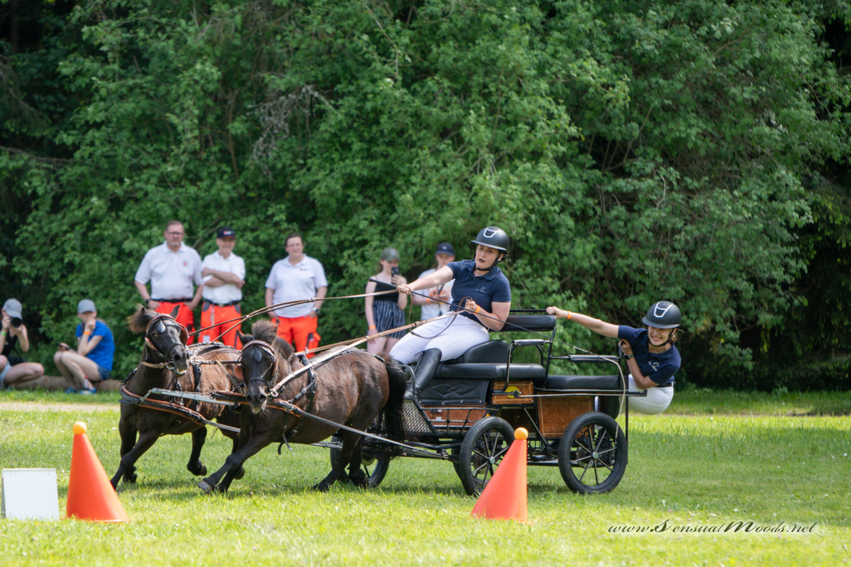 gk_20260524_1446-1_1800