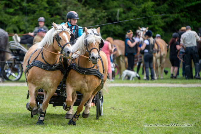 gk_20260524_1598-1_1800