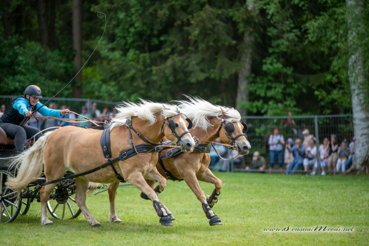 gk_20260524_1640-1_1800