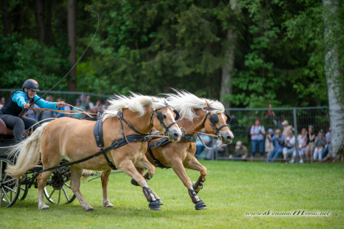 gk_20260524_1640-1_1800
