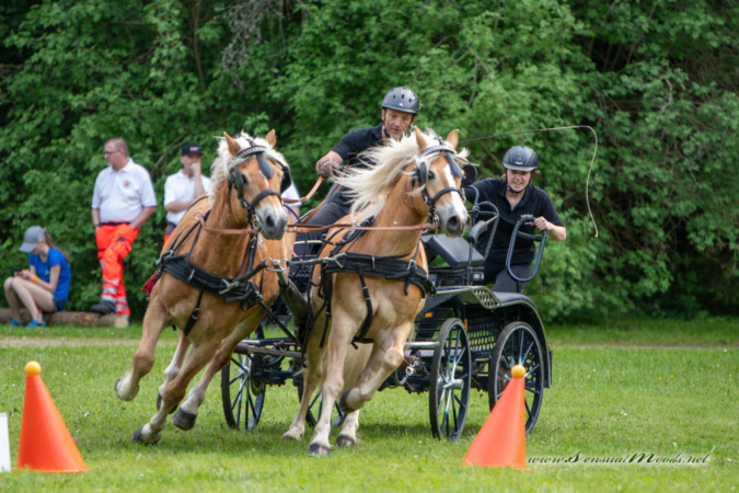 gk_20260524_1690-1_1800