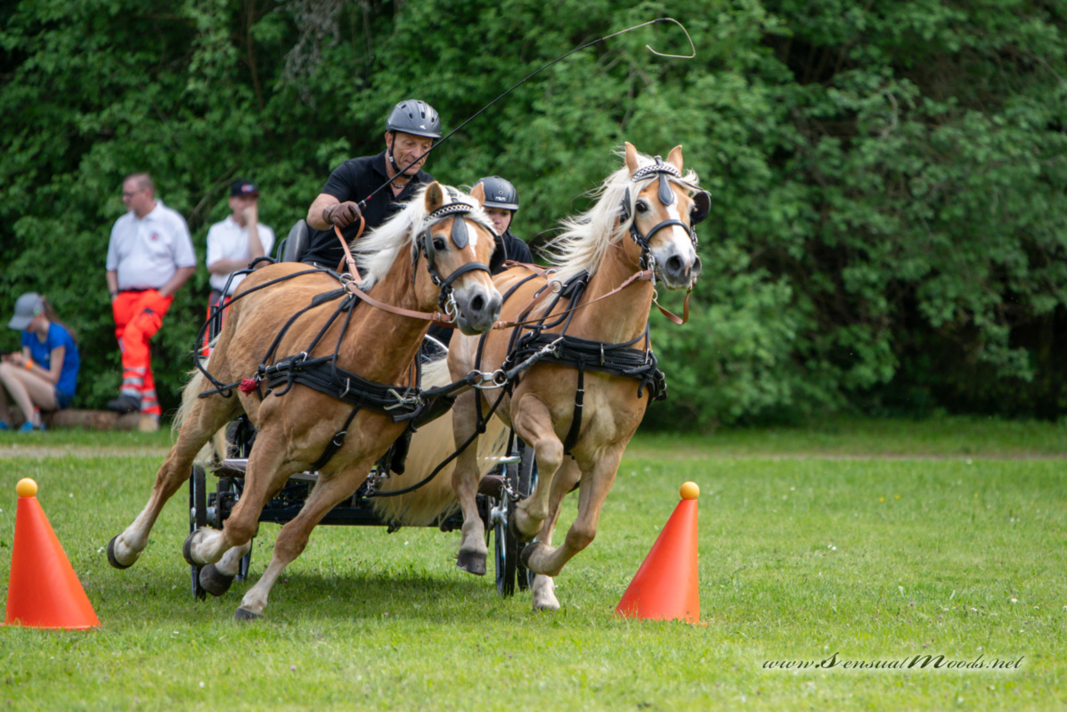 gk_20260524_1692-1_1800
