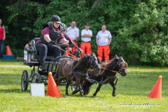 gk_20260524_1748-1_1800