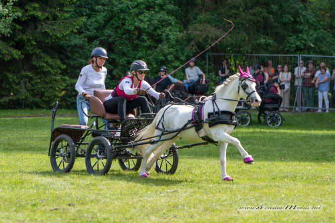 gk_20260524_1876-1_1800