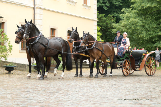 gk_20180527_0207_1