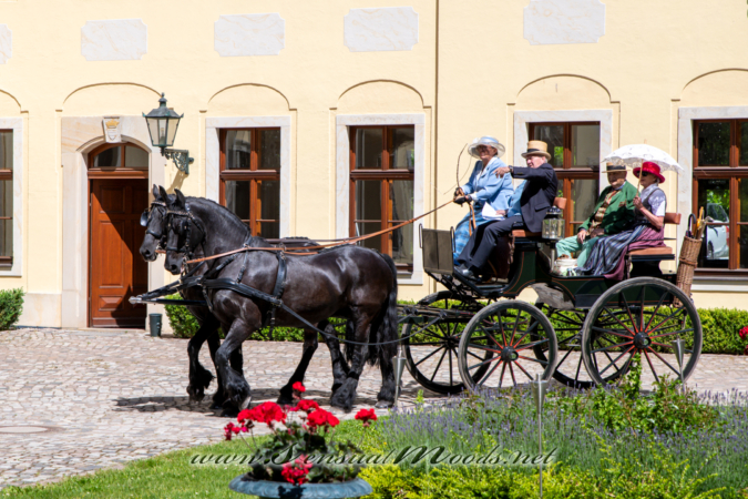 gk_20260529_0621-1_2160
