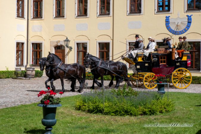 gk_20260529_0141-1_1800