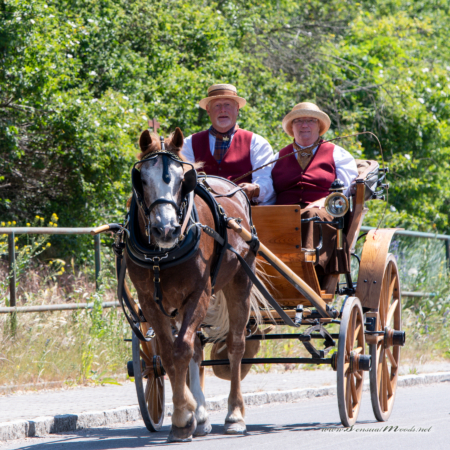 gk_20260530_0665-1_1800