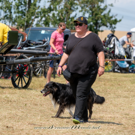 gk_20260726_0026-1_2160