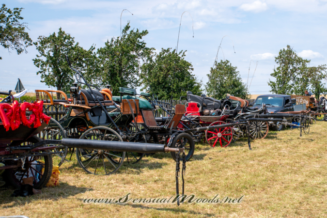 gk_20260726_0497-1_2160