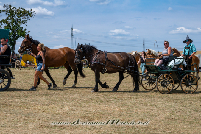 gk_20260726_0521-1_2160