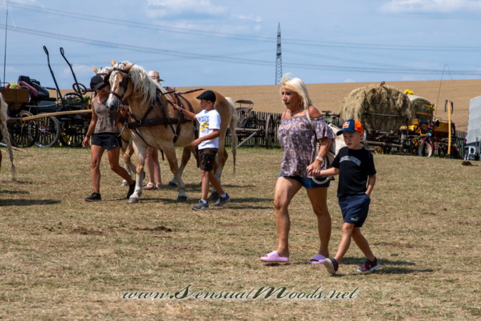 gk_20260726_0529-1_2160