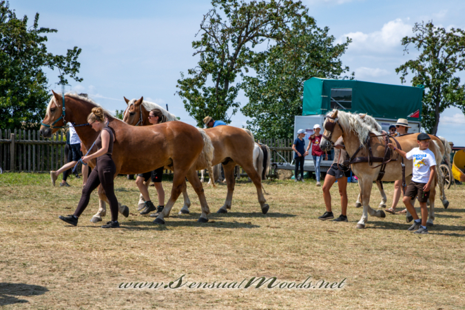 gk_20260726_0531-1_2160