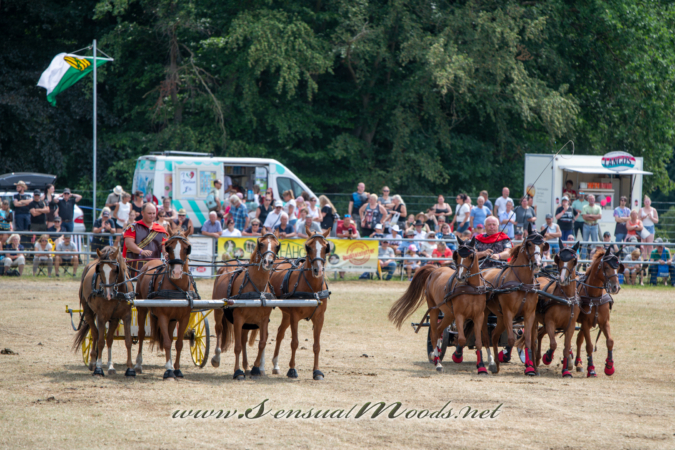 gk_20260726_0587-1_2160