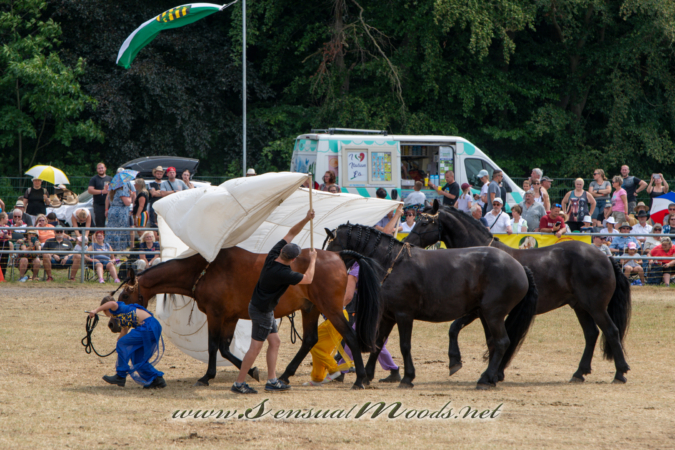 gk_20260726_0673-1_2160