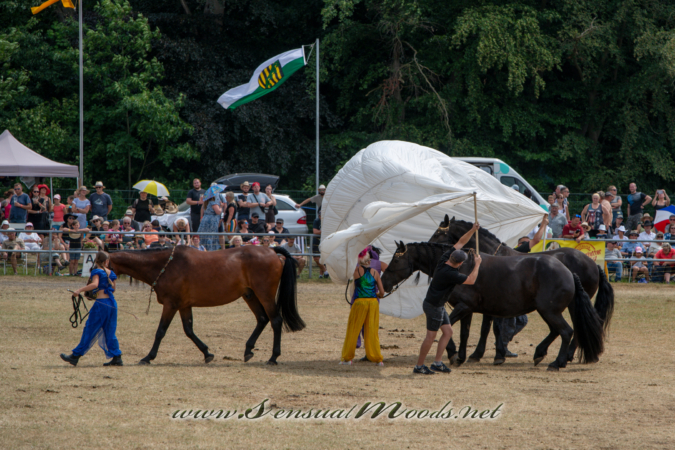 gk_20260726_0681-1_2160