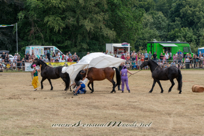 gk_20260726_0734-1_2160