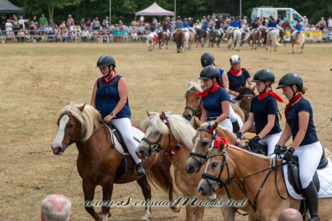 gk_20260726_0232-1_2160
