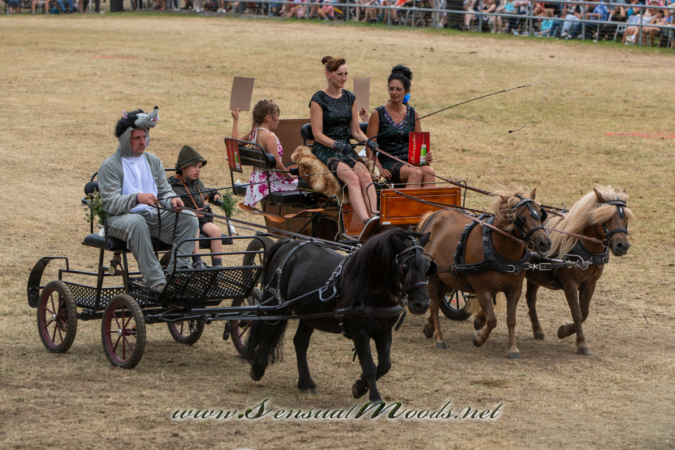 gk_20260726_0941-1_2160