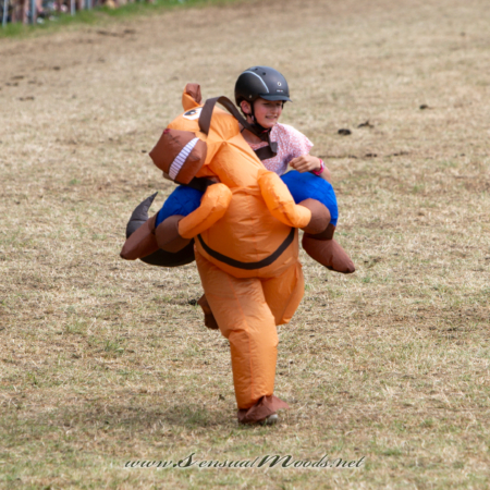 gk_20260726_1072-1_2160