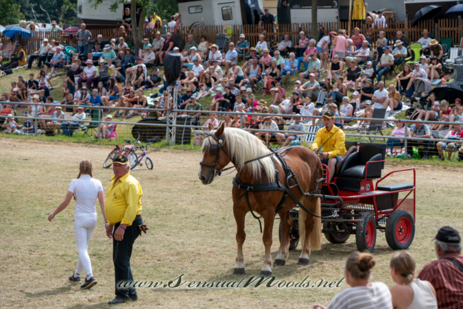 gk_20260726_1093-1_2160
