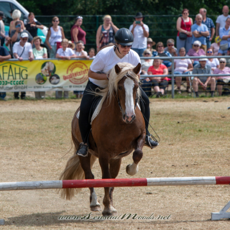 gk_20260726_1114-1_2160