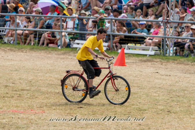 gk_20260726_1177-1_2160