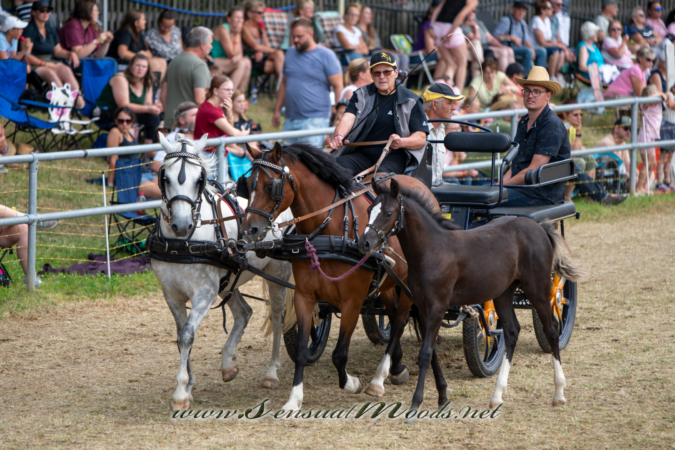 gk_20260726_1201-1_2160