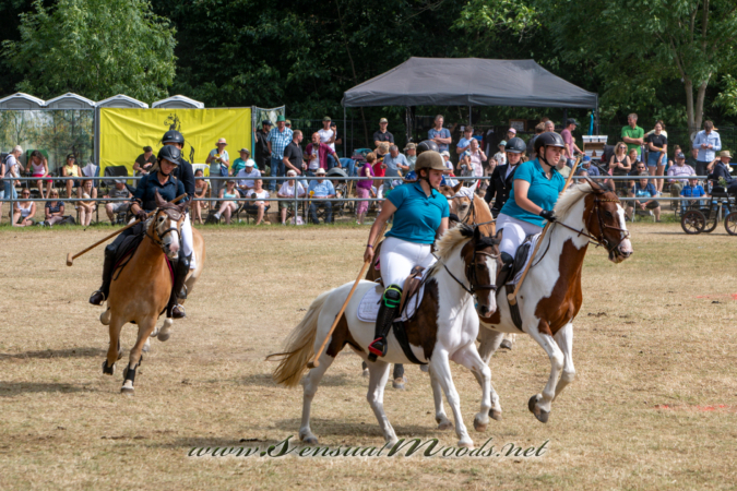 gk_20260726_1411-1_2160