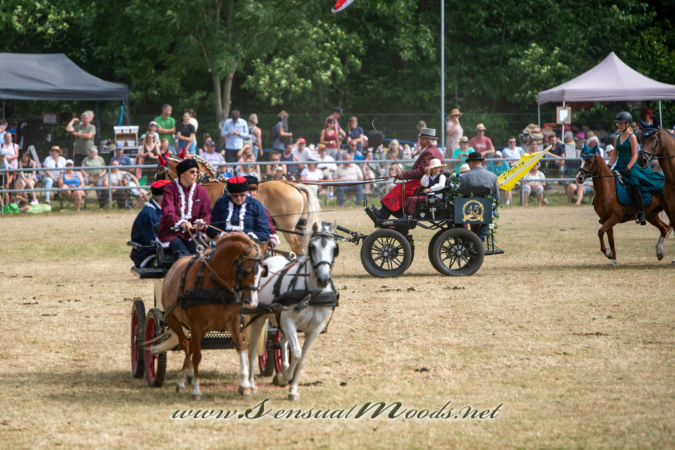 gk_20260726_1414-1_2160