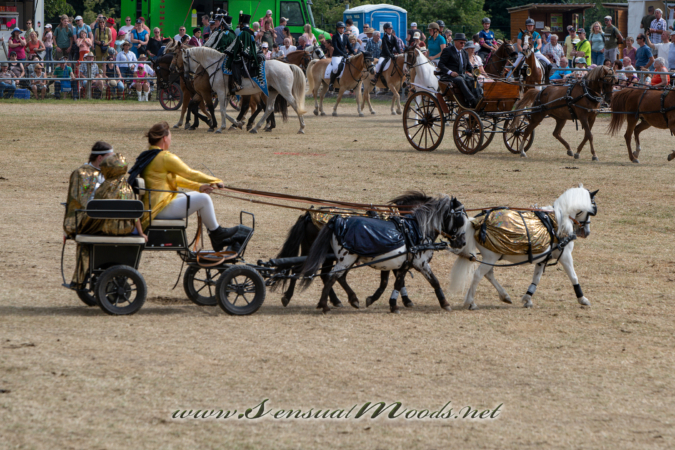 gk_20260726_1430-1_2160